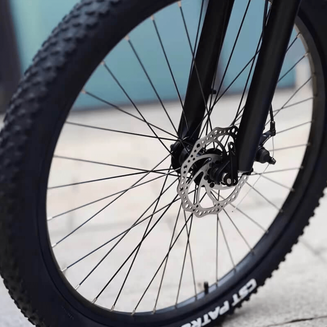 HX Q5 - Electric bike - Wheelyshop