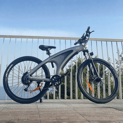 HX Q5 - Electric bike - Wheelyshop