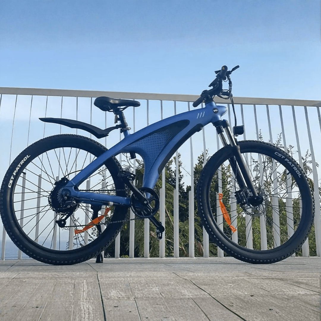 HX Q5 - Electric bike - Wheelyshop