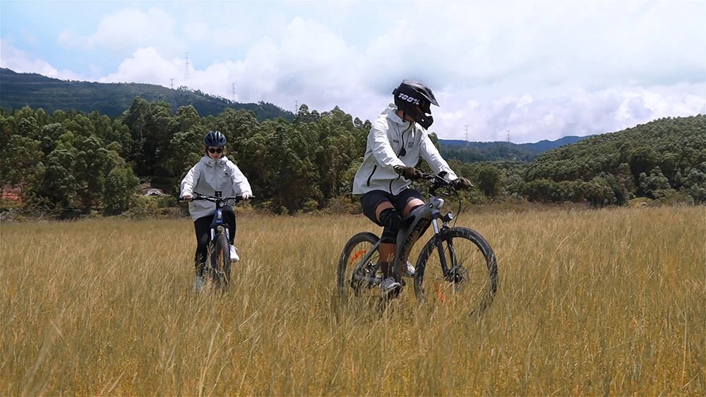 HX Q5 - Electric bike - Wheelyshop