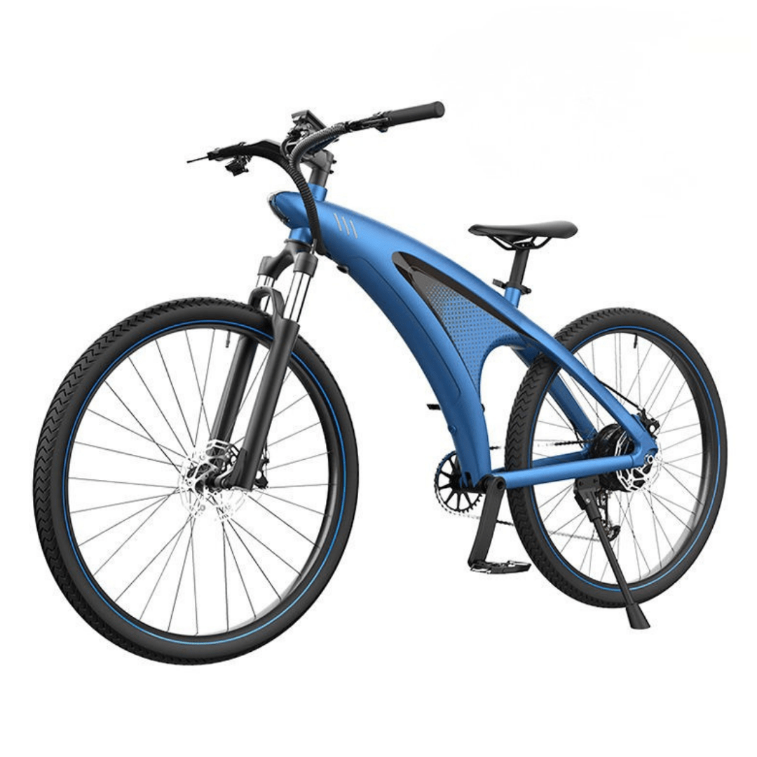 HX Q5 - Electric bike - Wheelyshop