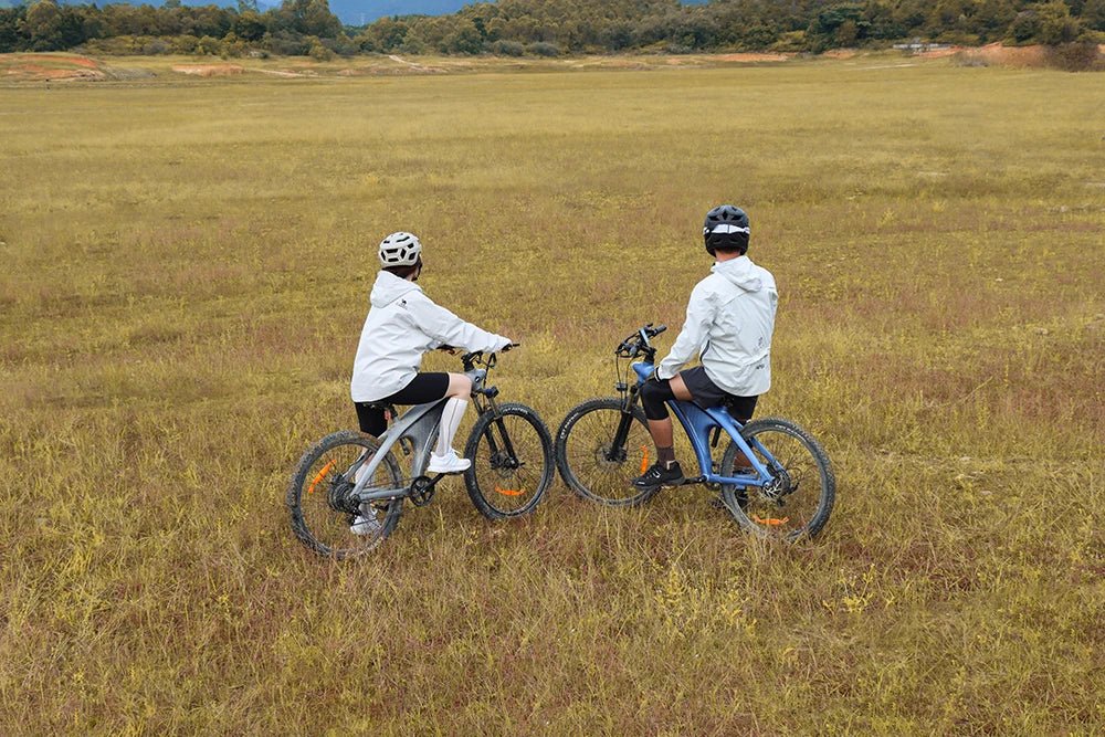 HX Q5 - Electric bike - Wheelyshop