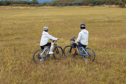 HX Q5 - Electric bike - Wheelyshop