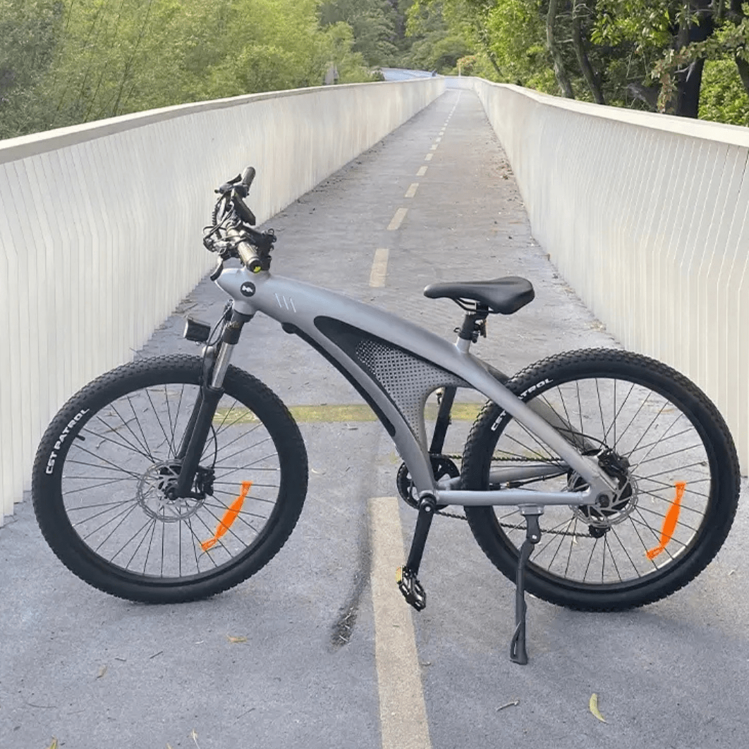 HX Q5 - Electric bike - Wheelyshop