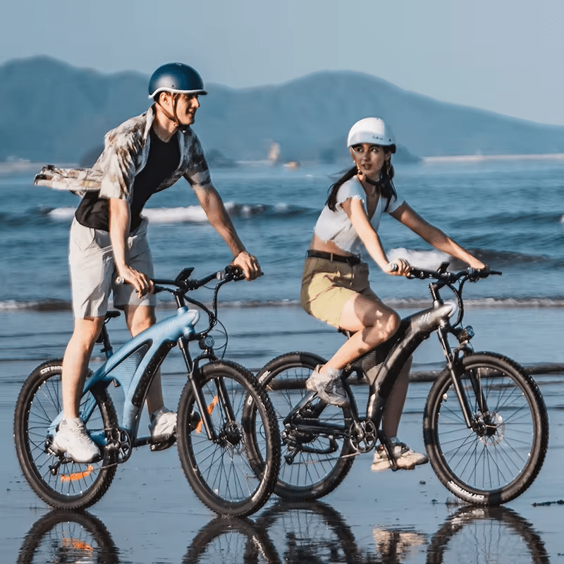 HX Q5 - Electric bike - Wheelyshop