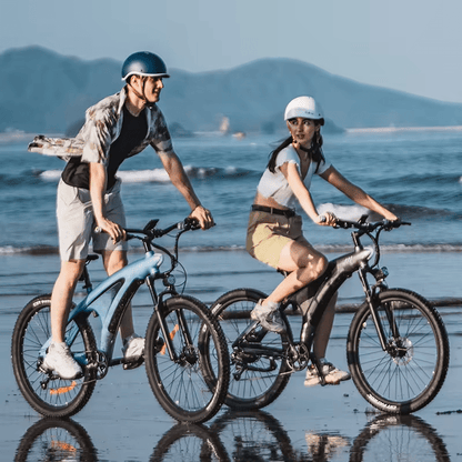 HX Q5 - Electric bike - Wheelyshop