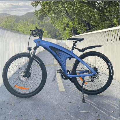 HX Q5 - Electric bike - Wheelyshop