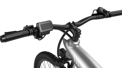 HX Q5S - Bicicleta eléctrica - Wheelyshop