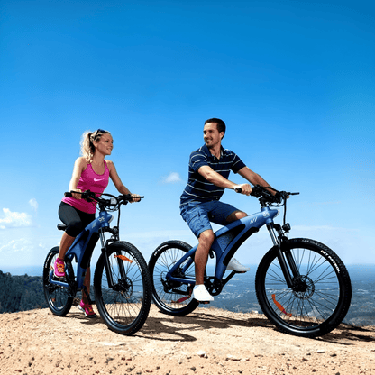 HX Q5S - Bicicleta eléctrica - Wheelyshop