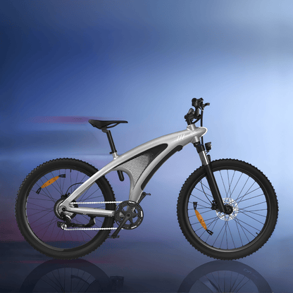 HX Q5S - Bicicleta eléctrica - Wheelyshop