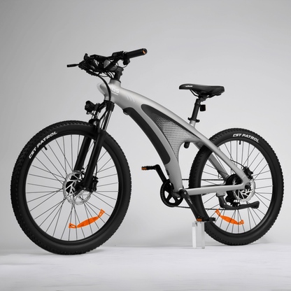 HX Q5S - Bicicleta eléctrica - Wheelyshop