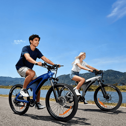 HX Q5S - Bicicleta eléctrica - Wheelyshop