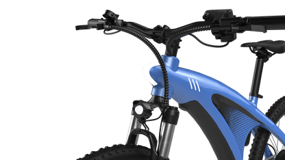 HX Q5S - Bicicleta eléctrica - Wheelyshop
