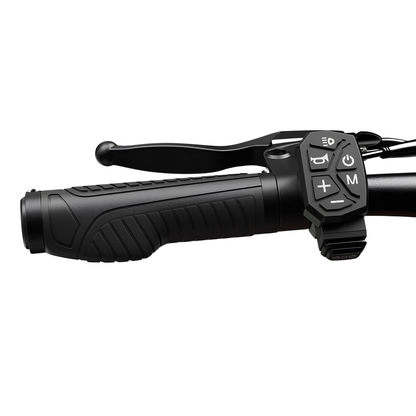 iScooter W12