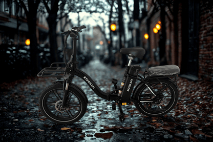 KOOLUX X16 - Electric bike - Wheelyshop