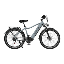 Bicicleta eléctrica KOOLUX X3 vista de lado en color gris