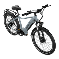Bicicleta eléctrica KOOLUX X3 vista en ángulo desde atrás en color gris