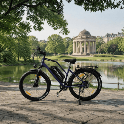 LOOKROAD L28 Max - Bicicleta eléctrica - Wheelyshop