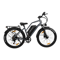 Bicicleta eléctrica fat bike LOOKROAD L28 Max vista de lado en color gris
