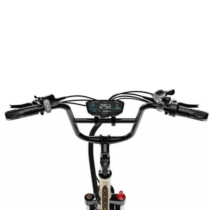 OneSport OT30 Pro - Electric bike - Wheelyshop