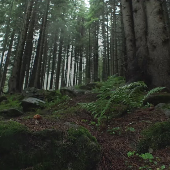 InMotion V14 Enhjuling reklamvideo