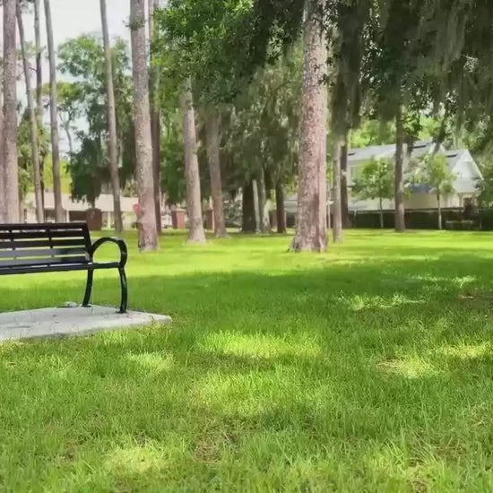 DYU CampX – vídeo