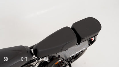 Meet the Hidoes B9 Dual Battery E-bike