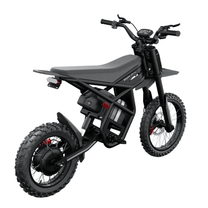 Moto cross eléctrica Ridingtimes GT54 Pro vista de lado
