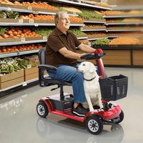 Hombre mayor sentado en el scooter de movilidad SEEDREAM S-02 con un perro