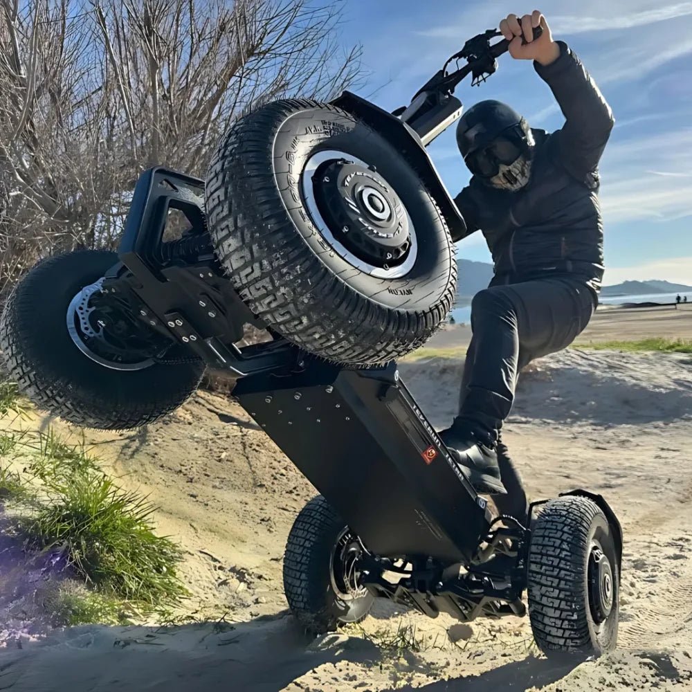 TEVERUN TETRA - Patinete eléctrico - Tienda de ruedas