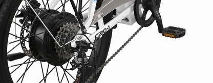 VARUN C20 - 1 - Electric bike - Wheelyshop