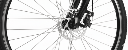 VARUN C700 - 8 - Electric bike - Wheelyshop