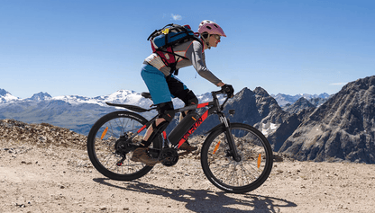 VARUN M27 - 1 Pro - Electric bike - Wheelyshop