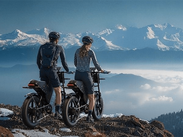 VARUN X - Bestia Exploradora - Bicicleta eléctrica - Tienda de ruedas