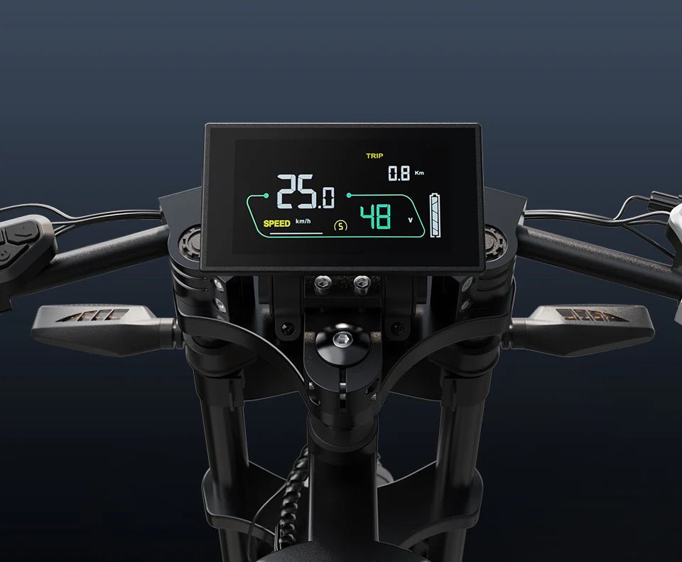 VARUN X - Plorer Raptor - Electric bike - Wheelyshop