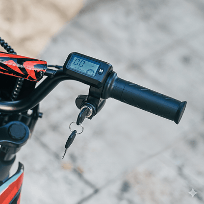Wheely - A14 - Electric bike - Wheelyshop
