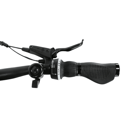 YANGOR H700 (36V 10.4Ah) - Bicicleta eléctrica - Wheelyshop