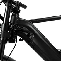Cuadro de la YANGOR Y20 Pro Max